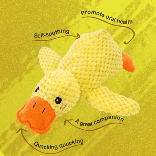 LumiPaws™ Calming Duck
