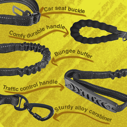 LumiPaws™ Versatile Leash