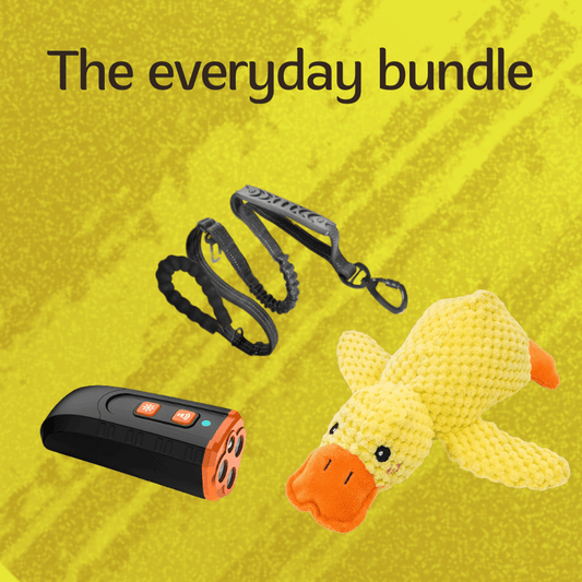 LumiPaws™ Everyday Bundle
